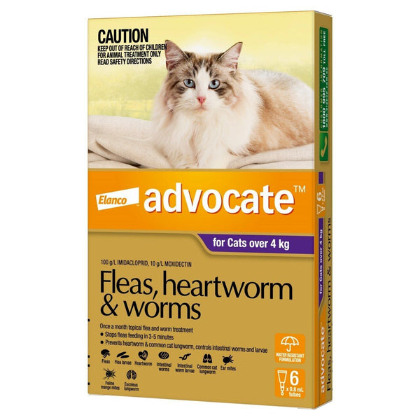 Advocate - Flea, Heartworm and Worm Control 'Cats over 4kg' [6 x 0.8ml]