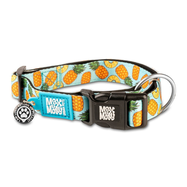 Max & Molly Smart ID Dog Collar [Sweet Pineapple]